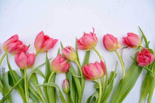  Frühling - Blumenstrauß Tulpe mit Herz