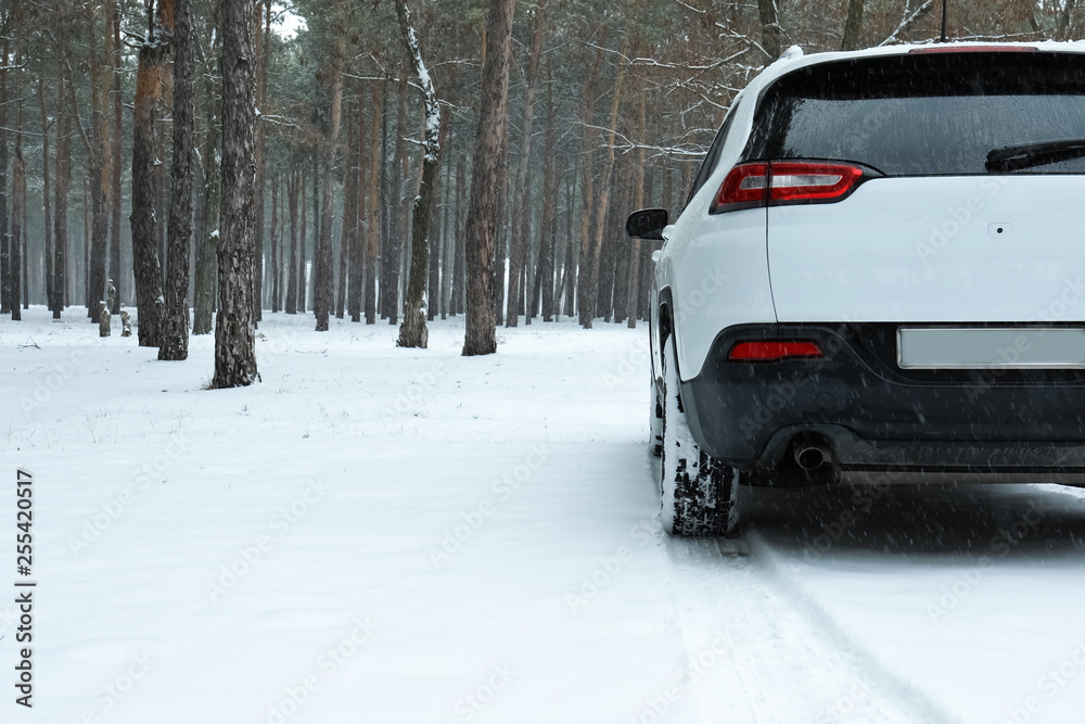 Modern car on snowy road in forest. Space for text
