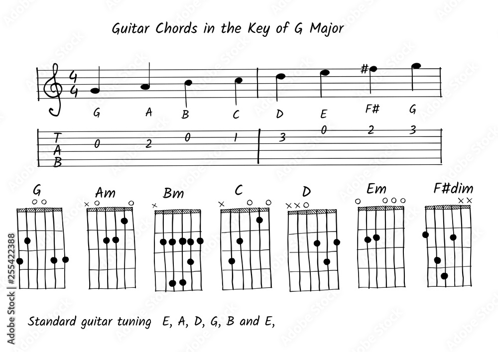 Guitar chord in the key of G major, Note and tab vector Stock Vector |  Adobe Stock