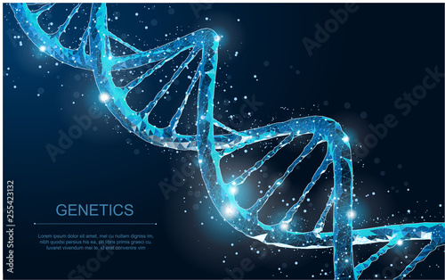 DNA. Abstract 3d polygonal wireframe DNA molecule helix spiral on blue.