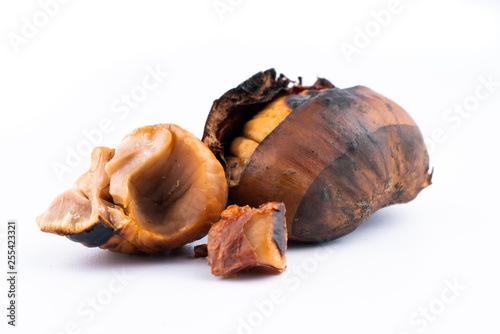roasted chestnut