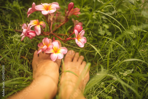 anned foots with tender pink frangipani flowers in green grass of tropical garden in Bali