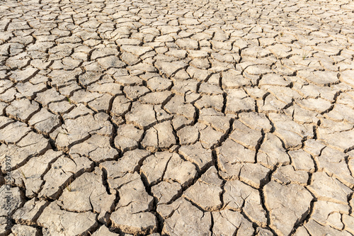 Barren land, Dry soil in arid areas background and texture.