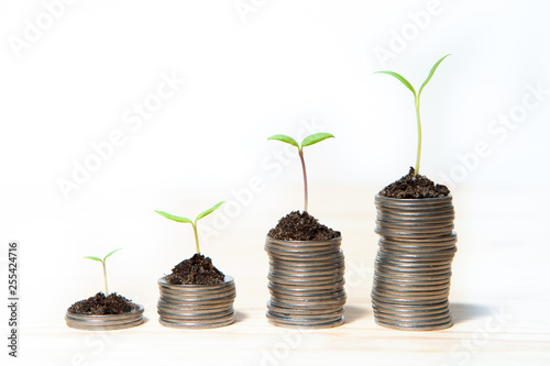 Idea money growing concept. Business success concept. Trees growing on pile of coins money