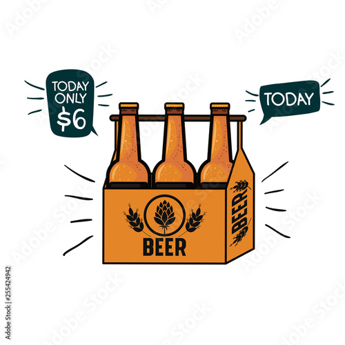box with beer bottles isolated icon
