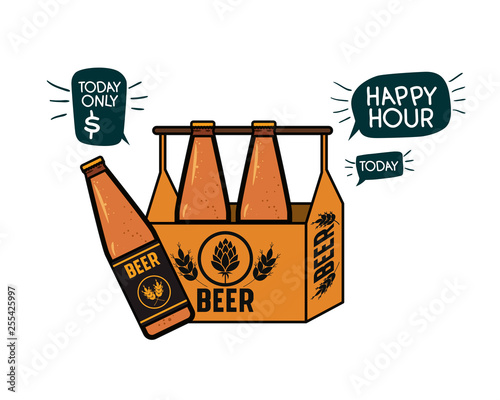 box with beer bottles isolated icon