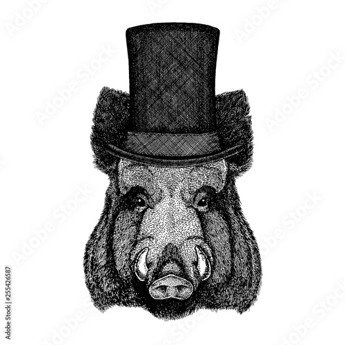 Wild animal wearing top hat, cylinder. Hipster aper, boar, hog