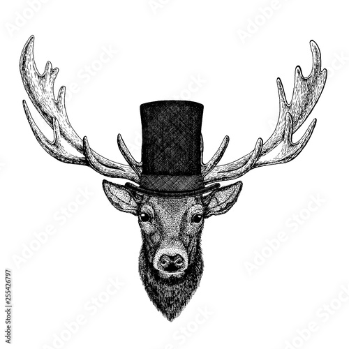 Wild animal wearing top hat, cylinder. Hipster deer