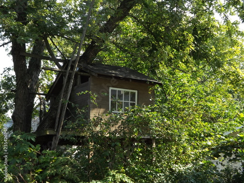 old tree house © Lisa