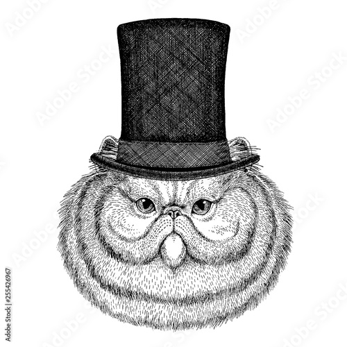 Wild animal wearing top hat, cylinder. Hipster cat