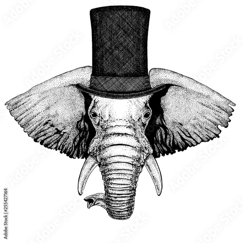 Wild animal wearing top hat, cylinder. Hipster elephant