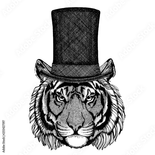 Wild animal wearing top hat, cylinder. Hipster tiger, cat