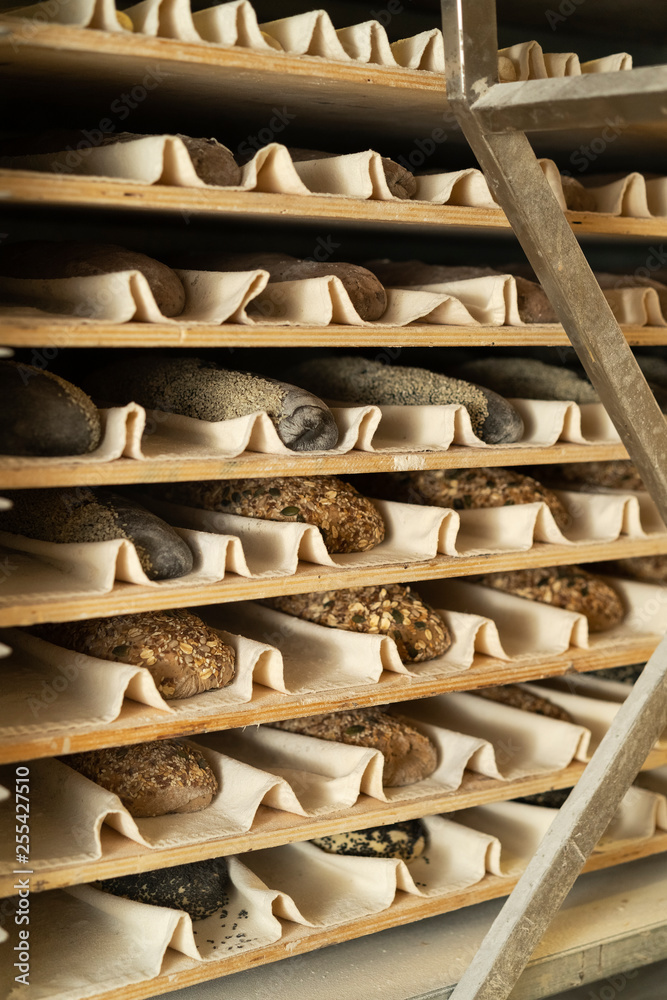 Masa de pan fermentando