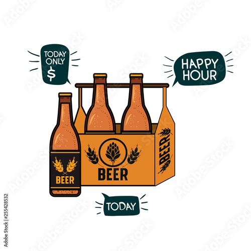 box with beer bottles isolated icon