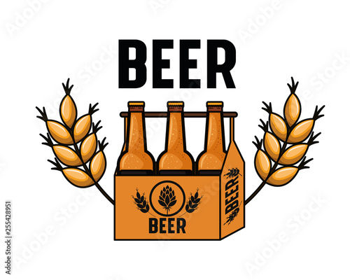 box with beer bottles isolated icon