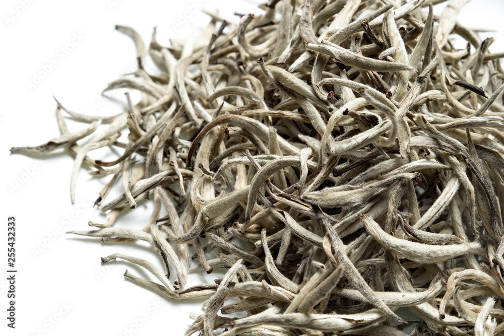 White tea on white background. Top view. Close up. High resolution White tea on white background. Top view. Close up. High resolution