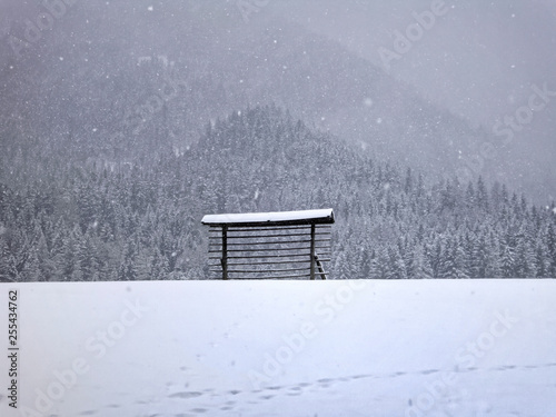 Winter in Südtirol, Harpfe mit Schnee und Wald im Hintergrund, Italien photo