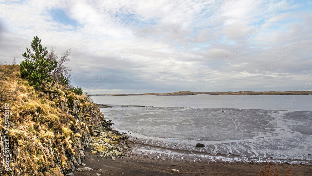 Low cliff with dry grass and bushes, facing a sandy beach. mudflats and a fjord at the town of Borgarnes, Iceland