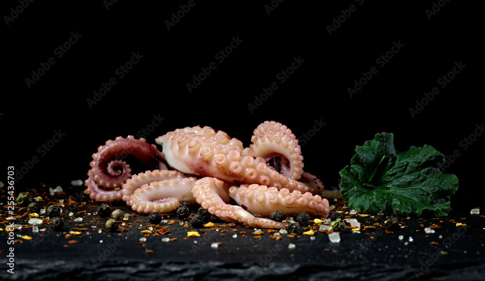 Octopus Pulpo Seafood Pasta ozean fisch tentakel Octopus Pulpo Seafood Pasta ozean fisch tentakel