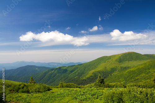 Green mountains panorama under blue sky on bright sunny day. Tourism and traveling concept  copy space background.