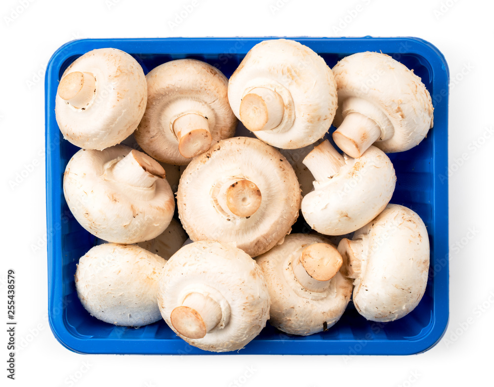 Mushrooms in a blue box on a white. The form of the top. Mushrooms in a blue box on a white. The form of the top.
