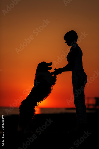 a girl is sitting outside in the grass, shaking hands with her German Shepherd dog, silhouetted against the sunsetting sky