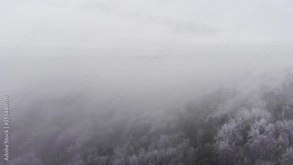fog over river