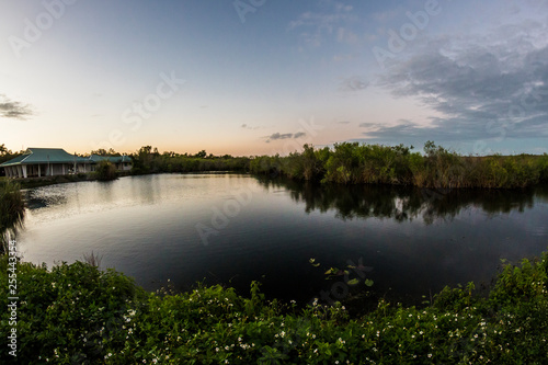Landscape view of Everglades National Park during the sunset (Florida).