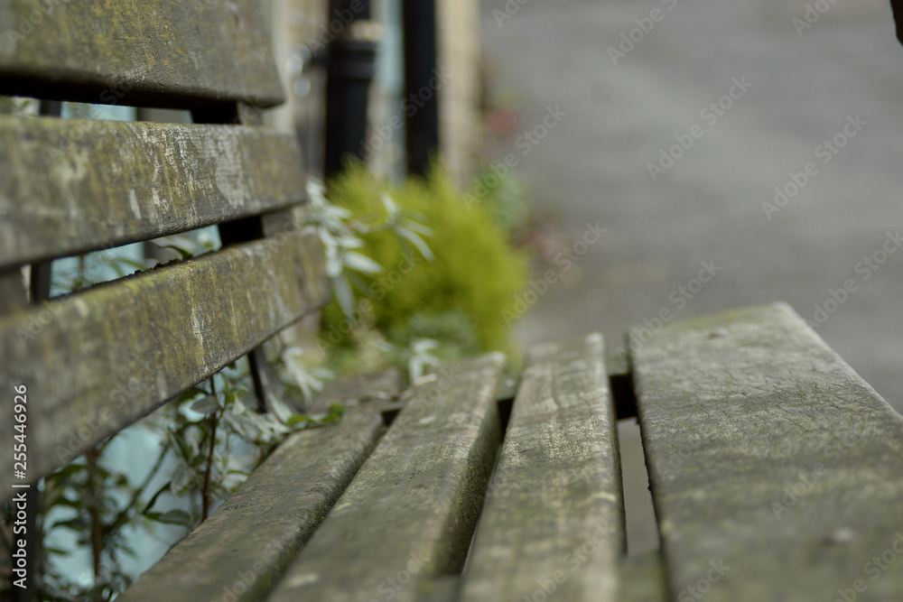 Fototapeta premium Rustic weathered wooden bench