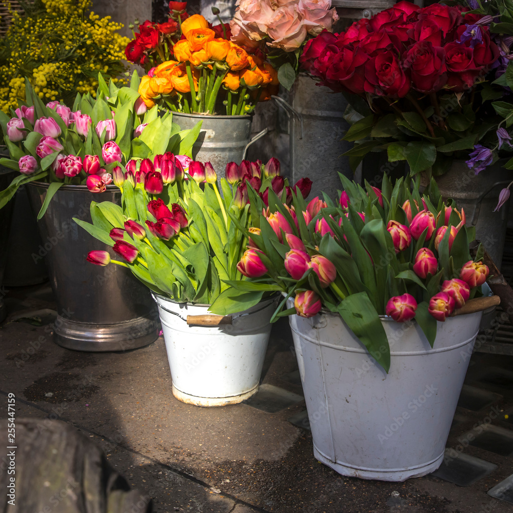 Many different spring flowers in baskets for bouquets on sale in the market.