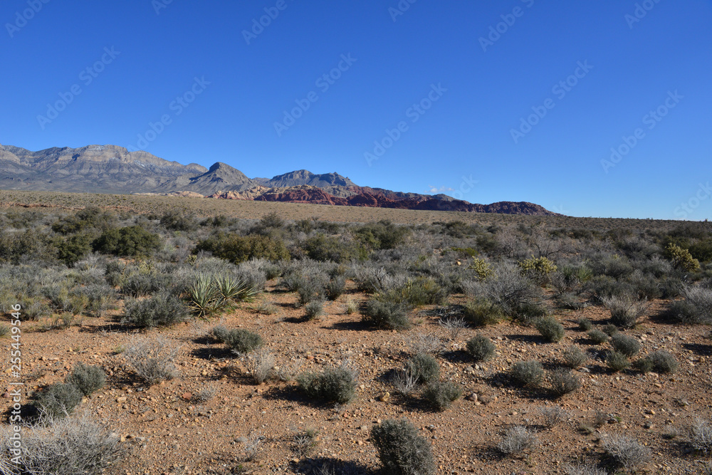 Fototapeta premium Red Rock Canyon in Las Vegas, Nevada.