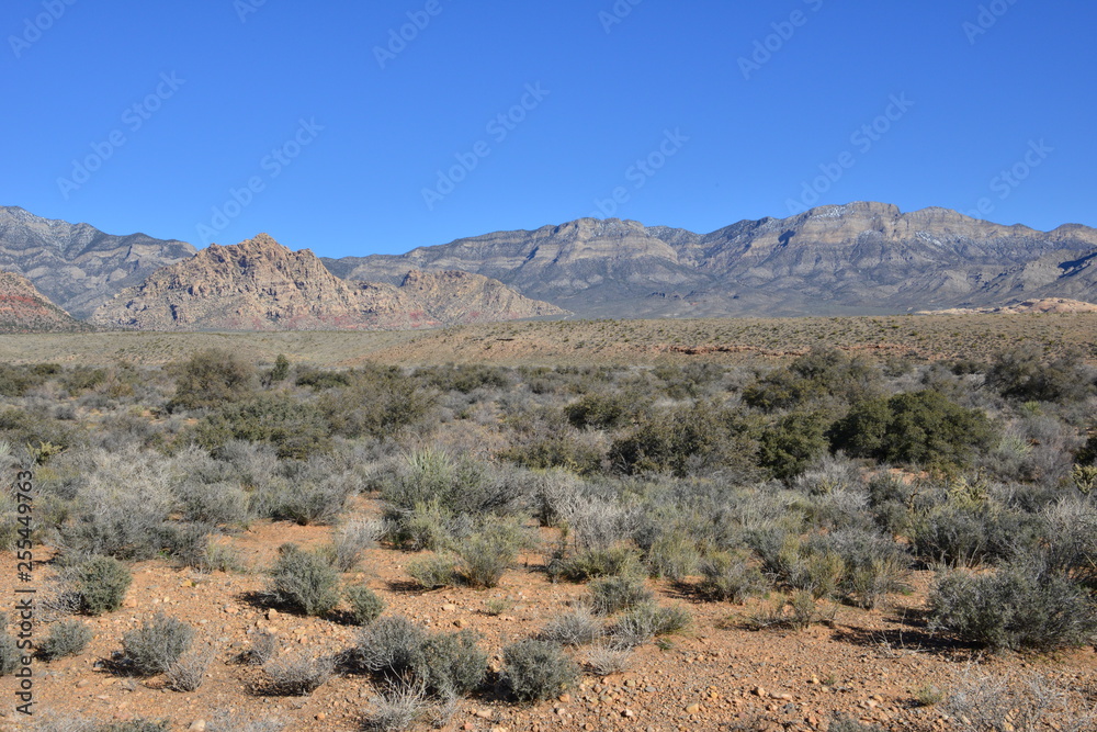 Red Rock Canyon in Las Vegas, Nevada.