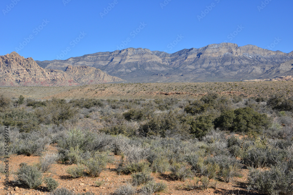 Red Rock Canyon in Las Vegas, Nevada.