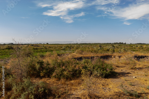 Steppe in Uzbekistan on a Sunny day with small clouds with a narrow strip of mountains on the horizon
