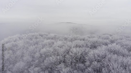 winter landscape with fog
