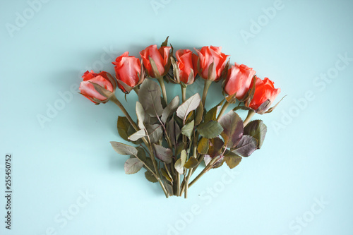 A bouquet of seven yellow roses in the center on a blue background. Top view,  photo