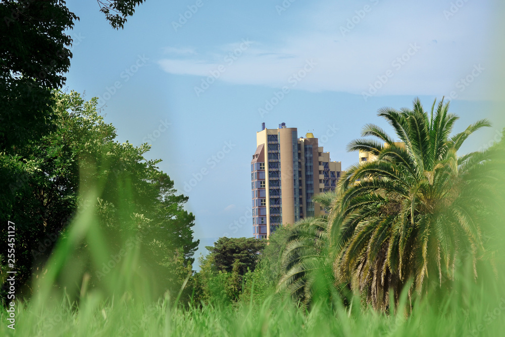 Urban, bright landscape against the backdrop of palm trees and forests. Stone jungle