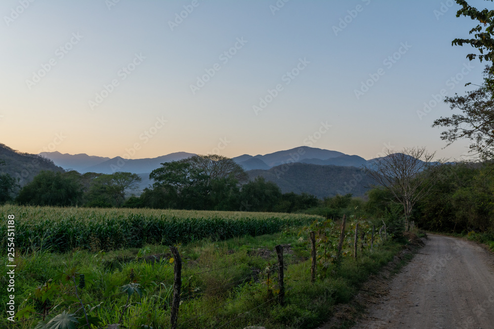 Naklejka premium atardecer