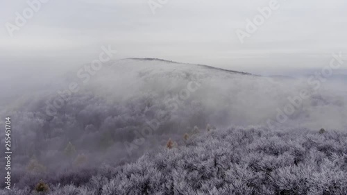 fog in mountains