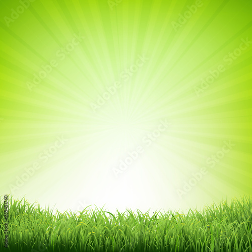 Summer Poster With Grass Border