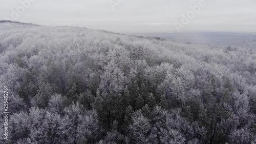 winter landscape with fog