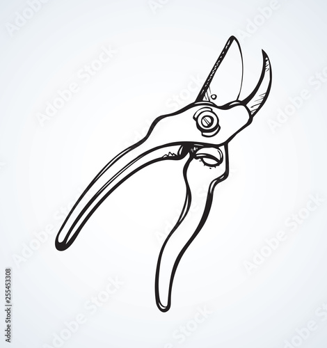 Vector drawing. Pruner