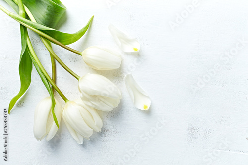 White spring tulips on painted wooden background. Flat lay. Copy space