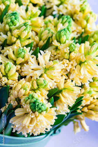 bright hyacinth flowers in the vase photo