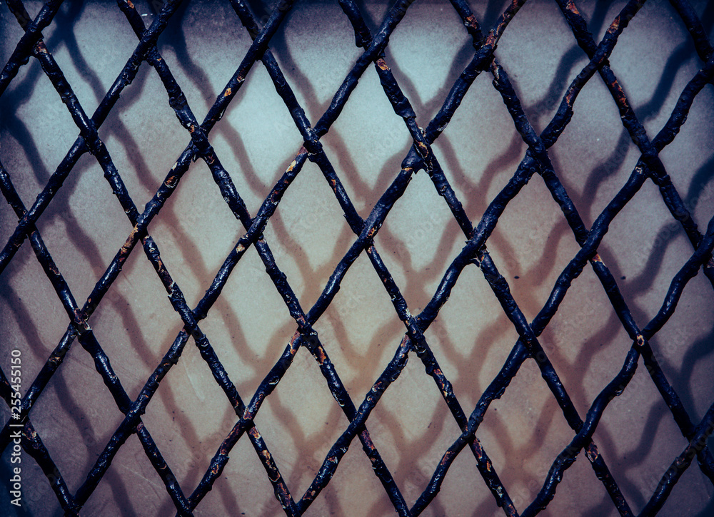 Fototapeta premium diamond pattern iron over window background