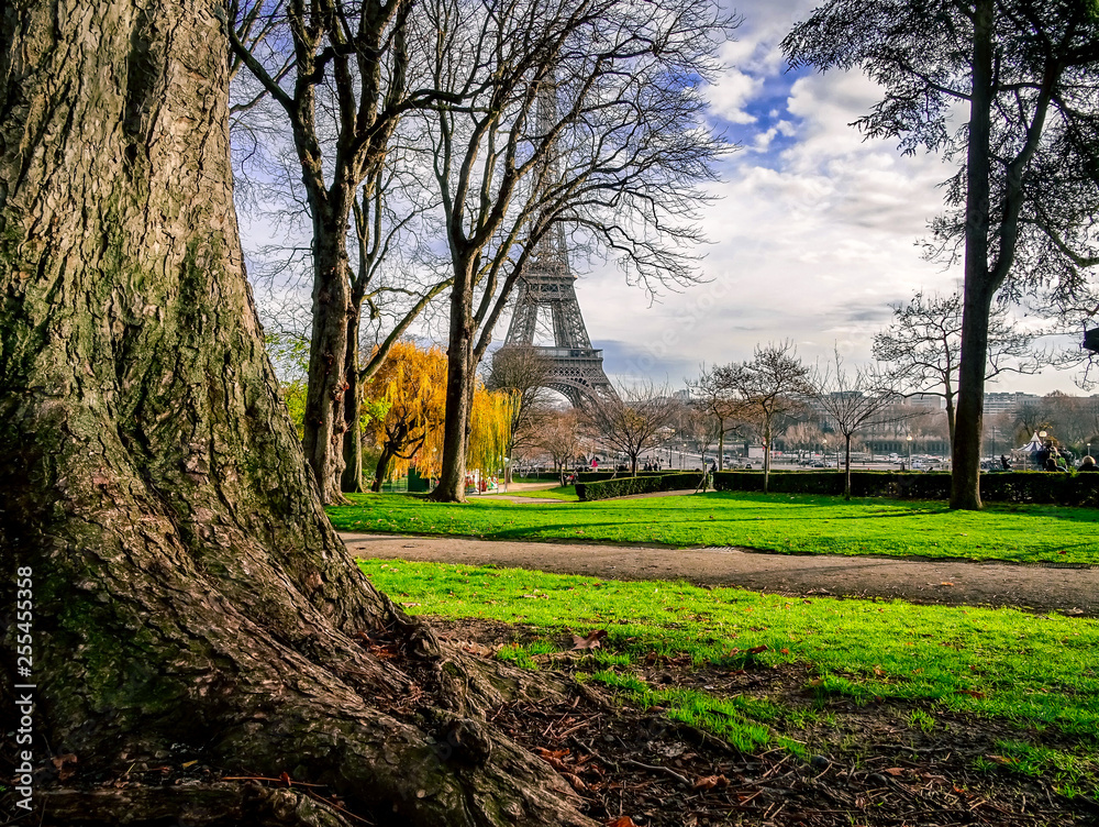Eiffel Tower between the green, sunny and beautiful day Paris