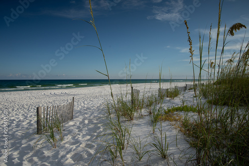 white beach with sea oats and sand dunes