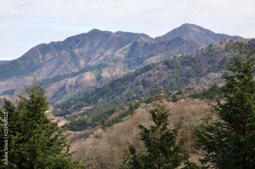 大界木山より望む西丹沢の山々