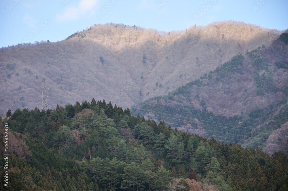 Naklejka premium 西日指す今倉山