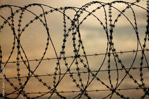 Coiled barbed wire fencing during sunset against warm sky